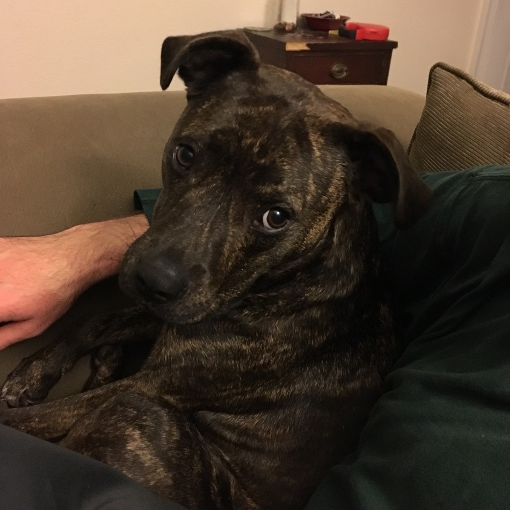 Meet your Posher, Kelsea